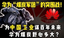 炭变在线观看,穿越时空的奇幻之旅